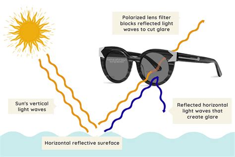 where to get polarized sunglasses